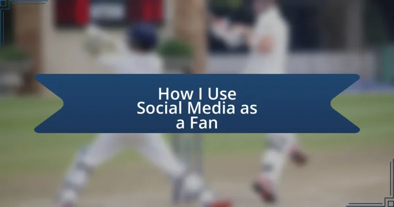 How I Use Social Media as a Fan