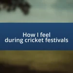 How I feel during cricket festivals