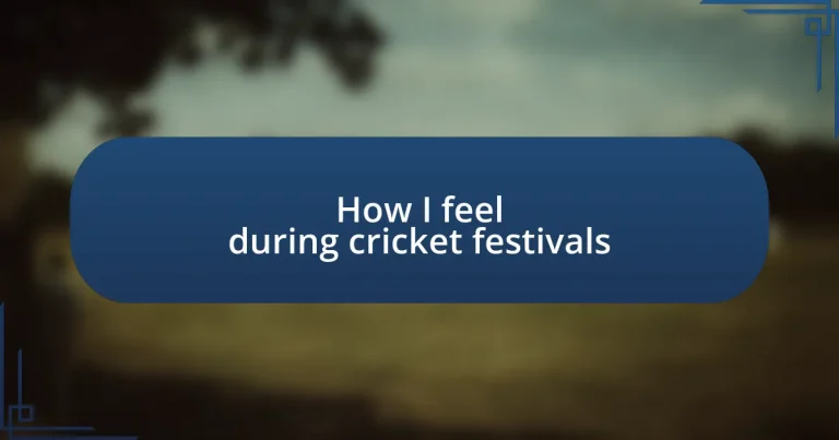 How I feel during cricket festivals