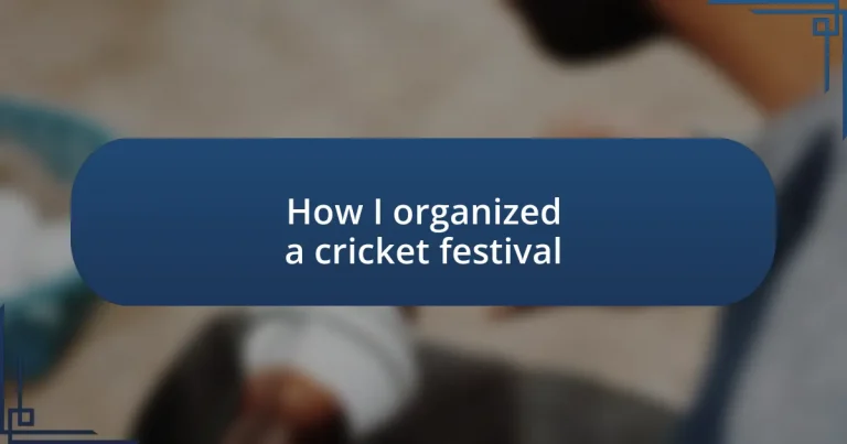 How I organized a cricket festival