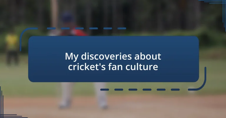 My discoveries about cricket’s fan culture