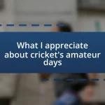 What I appreciate about cricket’s amateur days