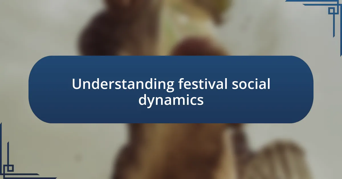 Understanding festival social dynamics