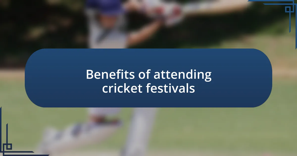 Benefits of attending cricket festivals