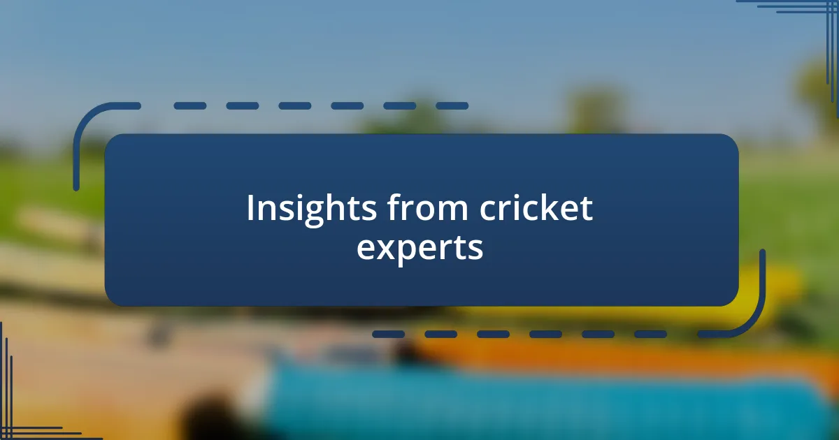 Insights from cricket experts